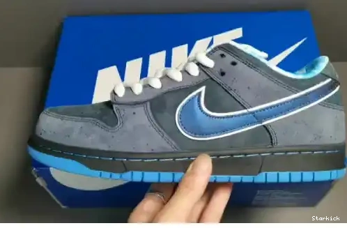 Nike Blue Lobster Low - Dunk 313170-342 SB 0525